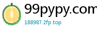 99pypy.com